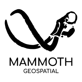 Mammoth Geospatial logo