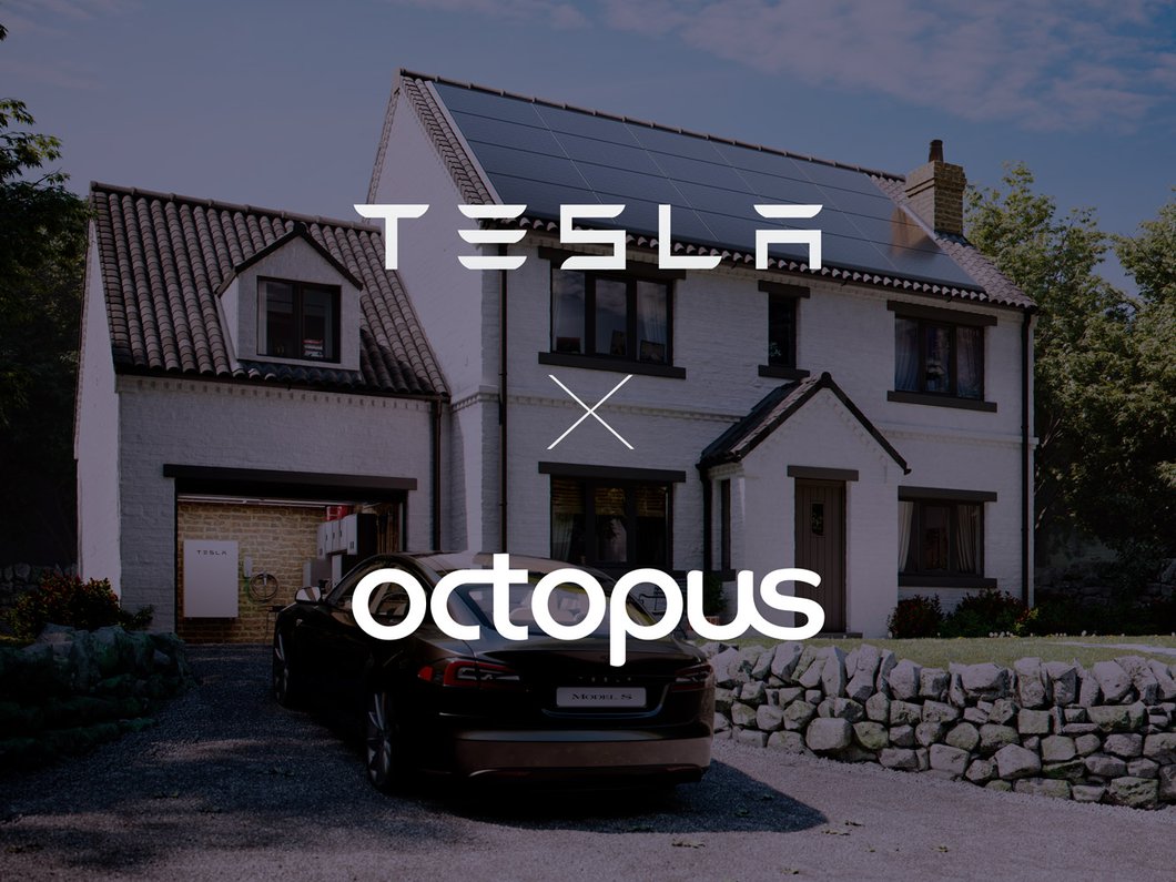 An evening with Greg Jackson - Founder, CEO - Octopus Energy