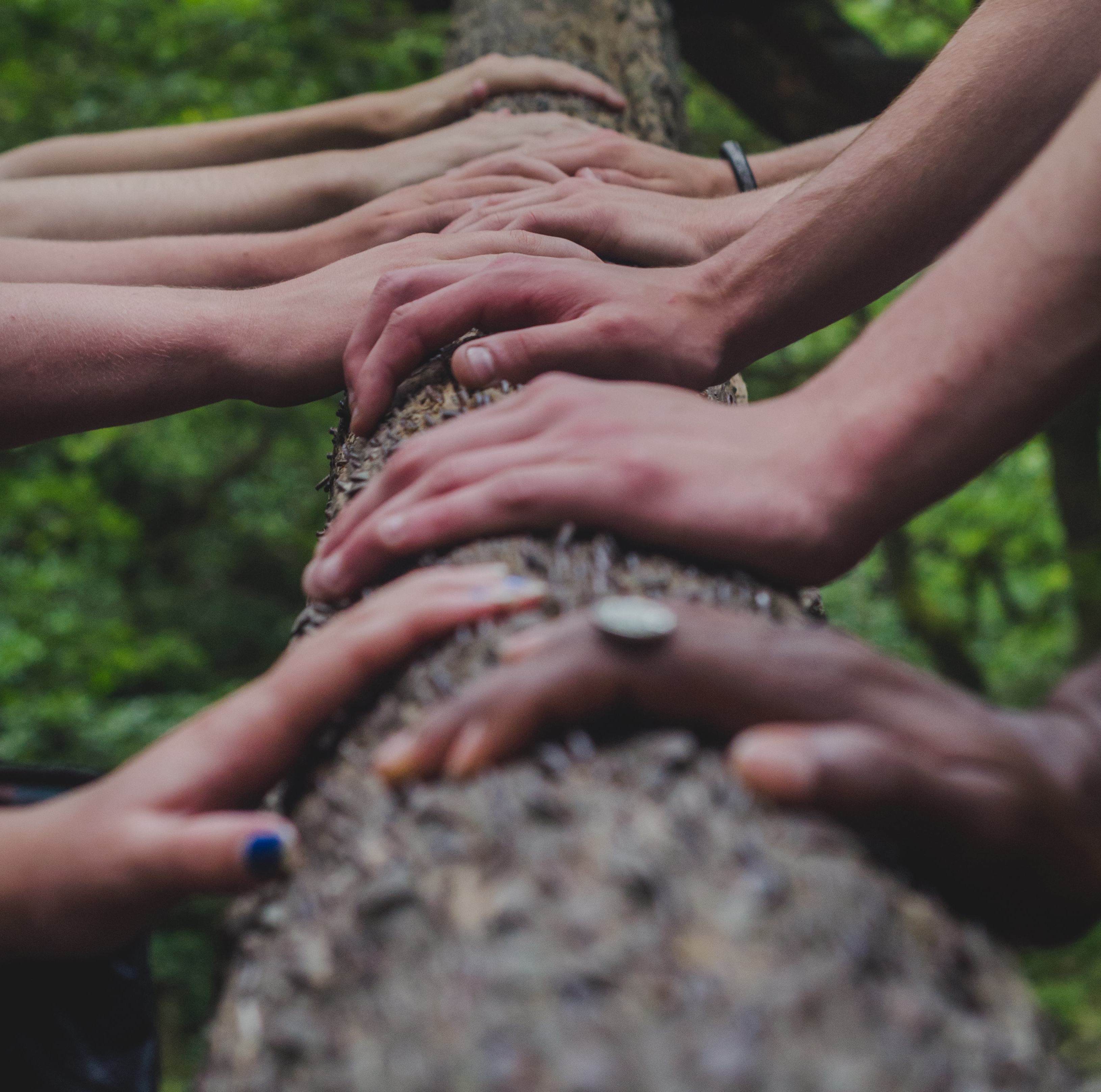 Sympoiesis 2: Contemplative Activism