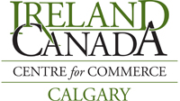 Building Brand Ireland in the Digital Space logo