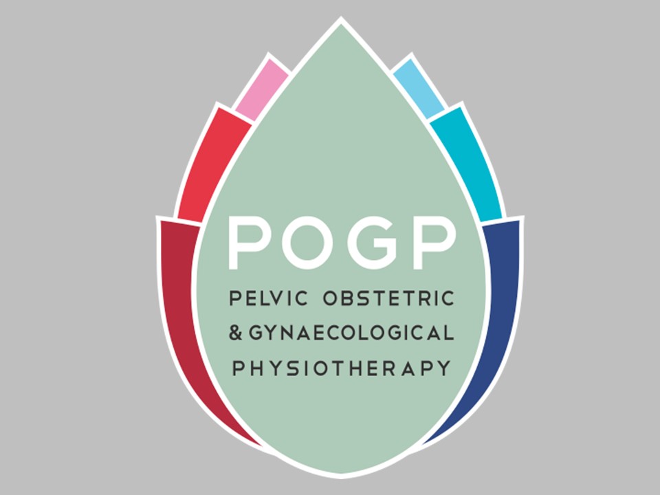 2nd National Irish Meeting in Women’s and Men’s Health & Continence – Multidisciplinary Care logo