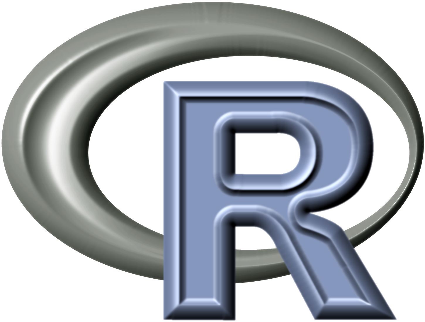 Dublin R Workshop (June 2018) logo