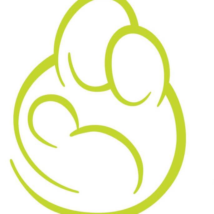 The 4 Pillars of Health logo