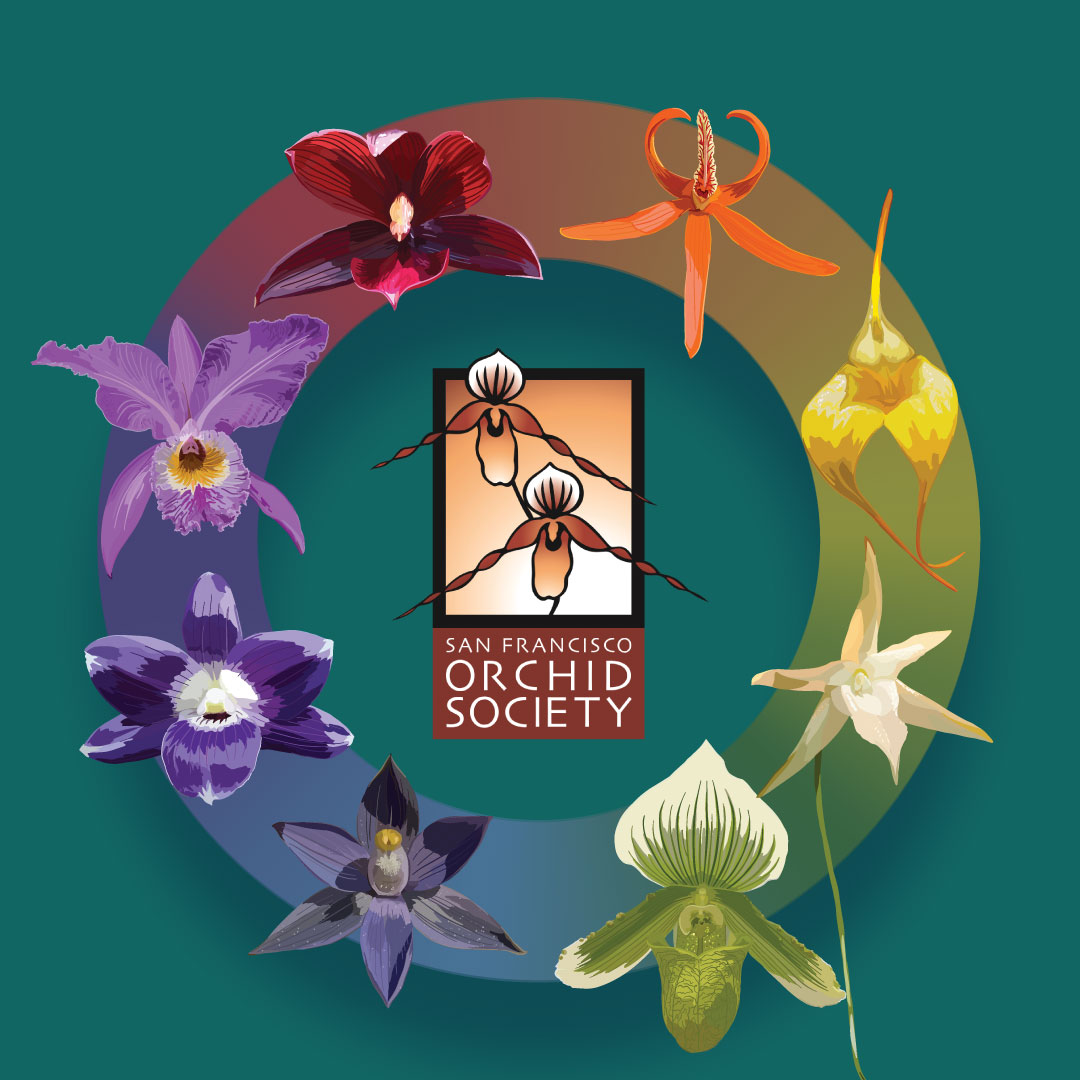 Celebrating Diversity Pacific Orchid Exposition 2023