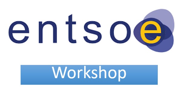 Workshop on Delivering the European Offshore Electricity System logo