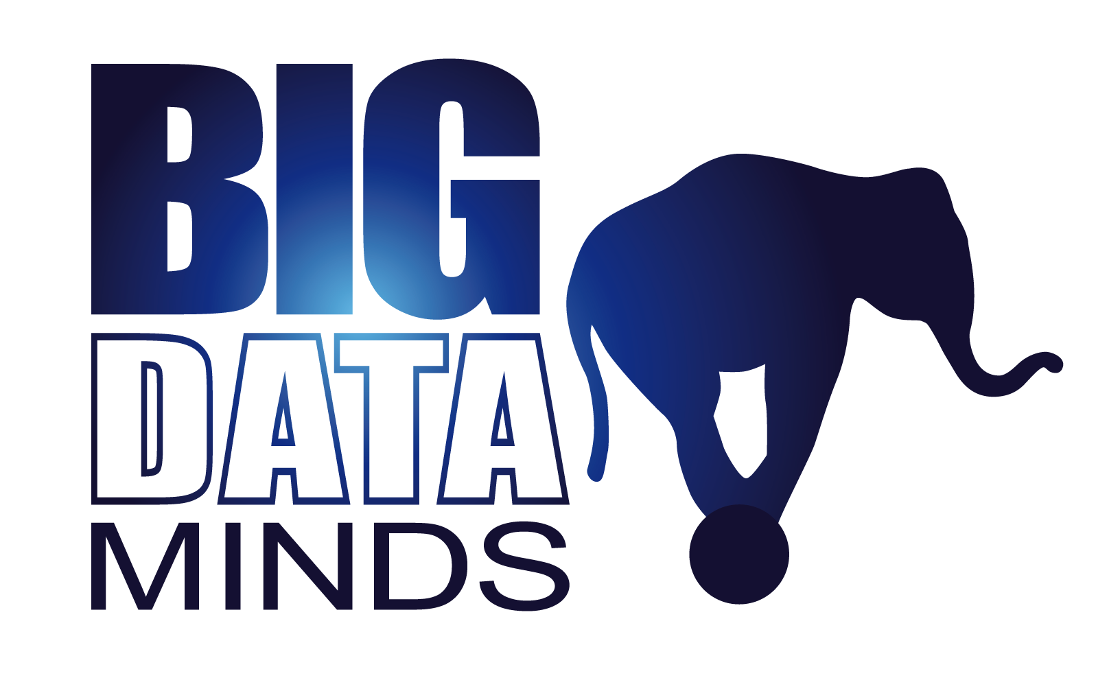 Big Data Minds Business Partner Packages logo