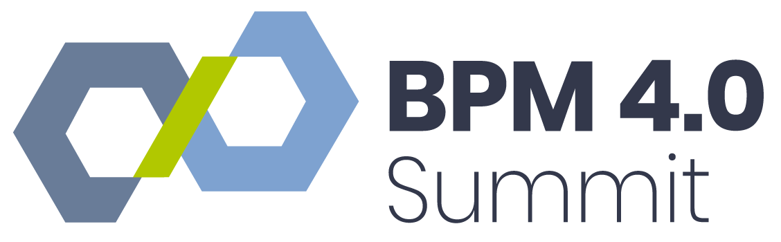 BPM Summit Business Partner Packages logo
