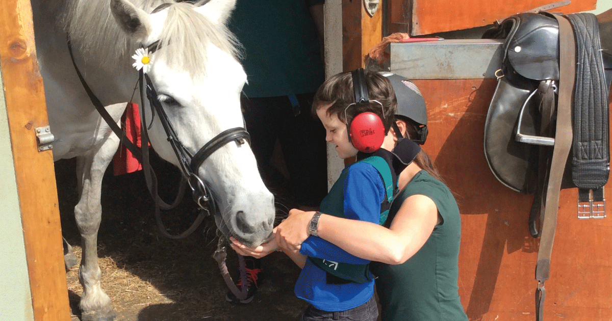 Equine Assisted Activities Workshop logo