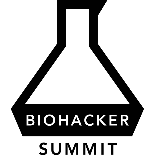 Hololife Summit 2025 Tokyo logo