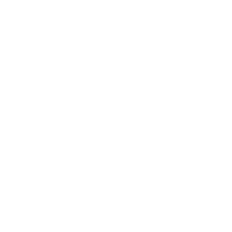 Film Noir Fest 2025 logo