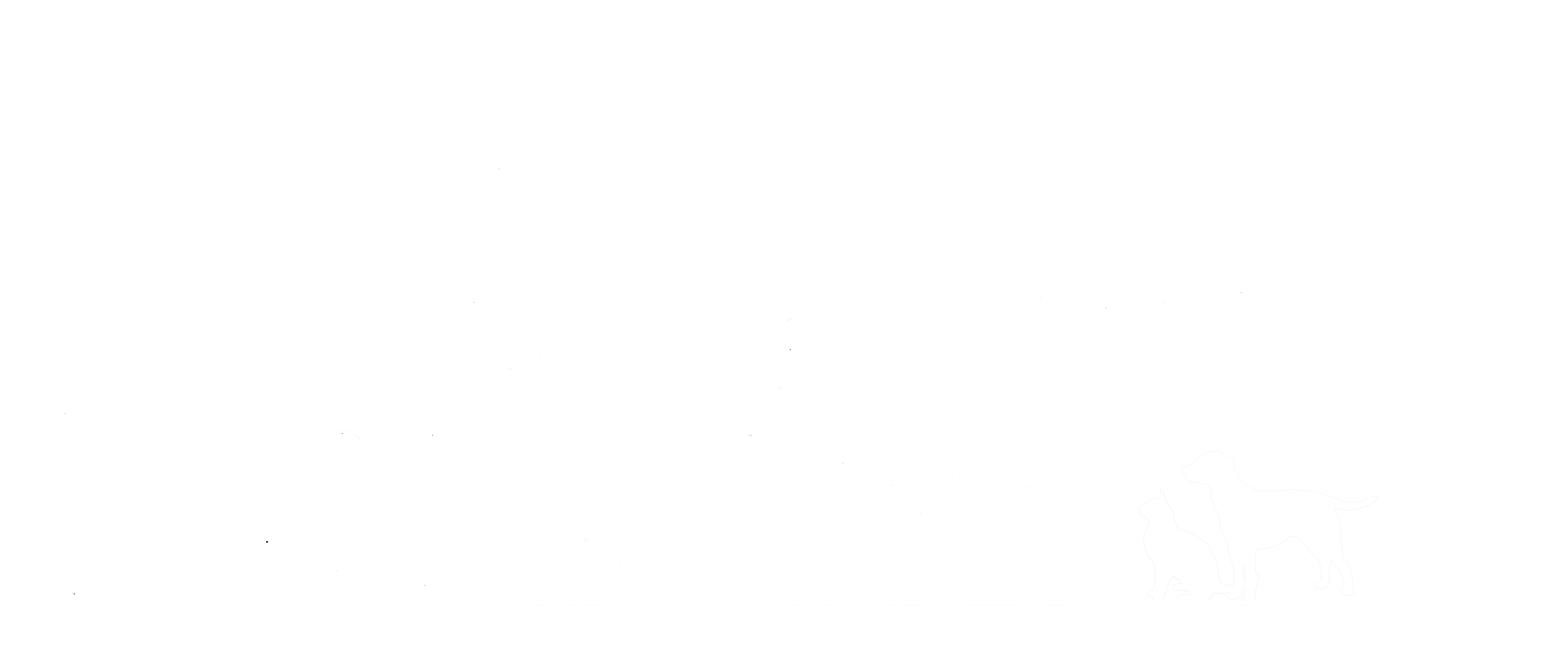 AVSPNI Autumn Conference 2025 logo