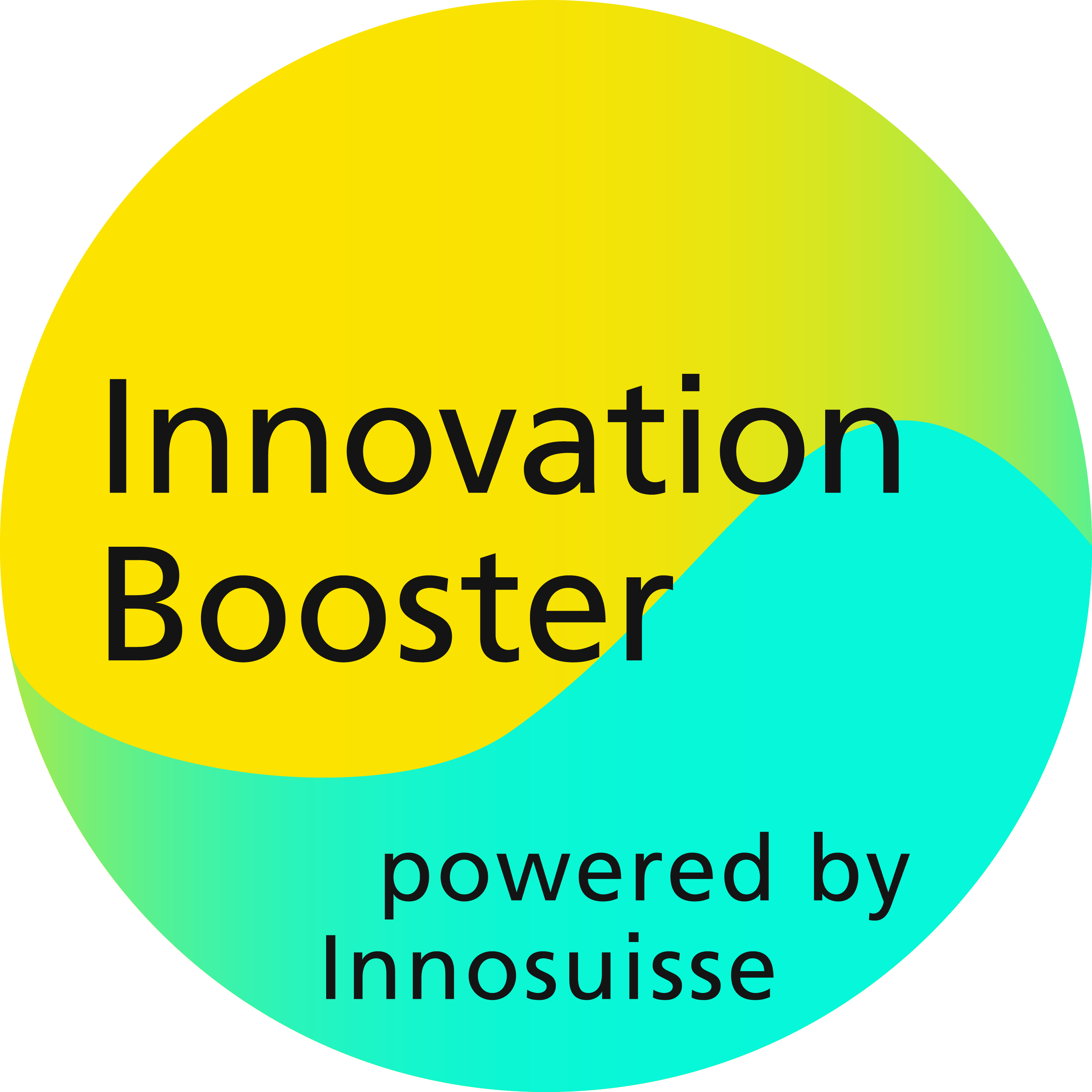 Innovation Booster Stories - Radical Innovation through Digitalization logo