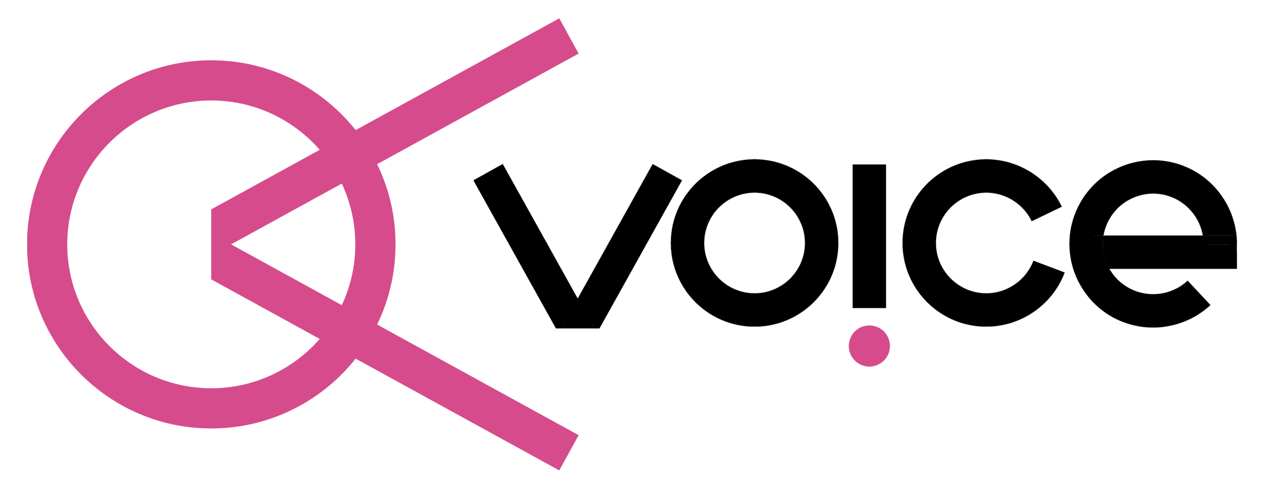 Having a Voice in Governance logo