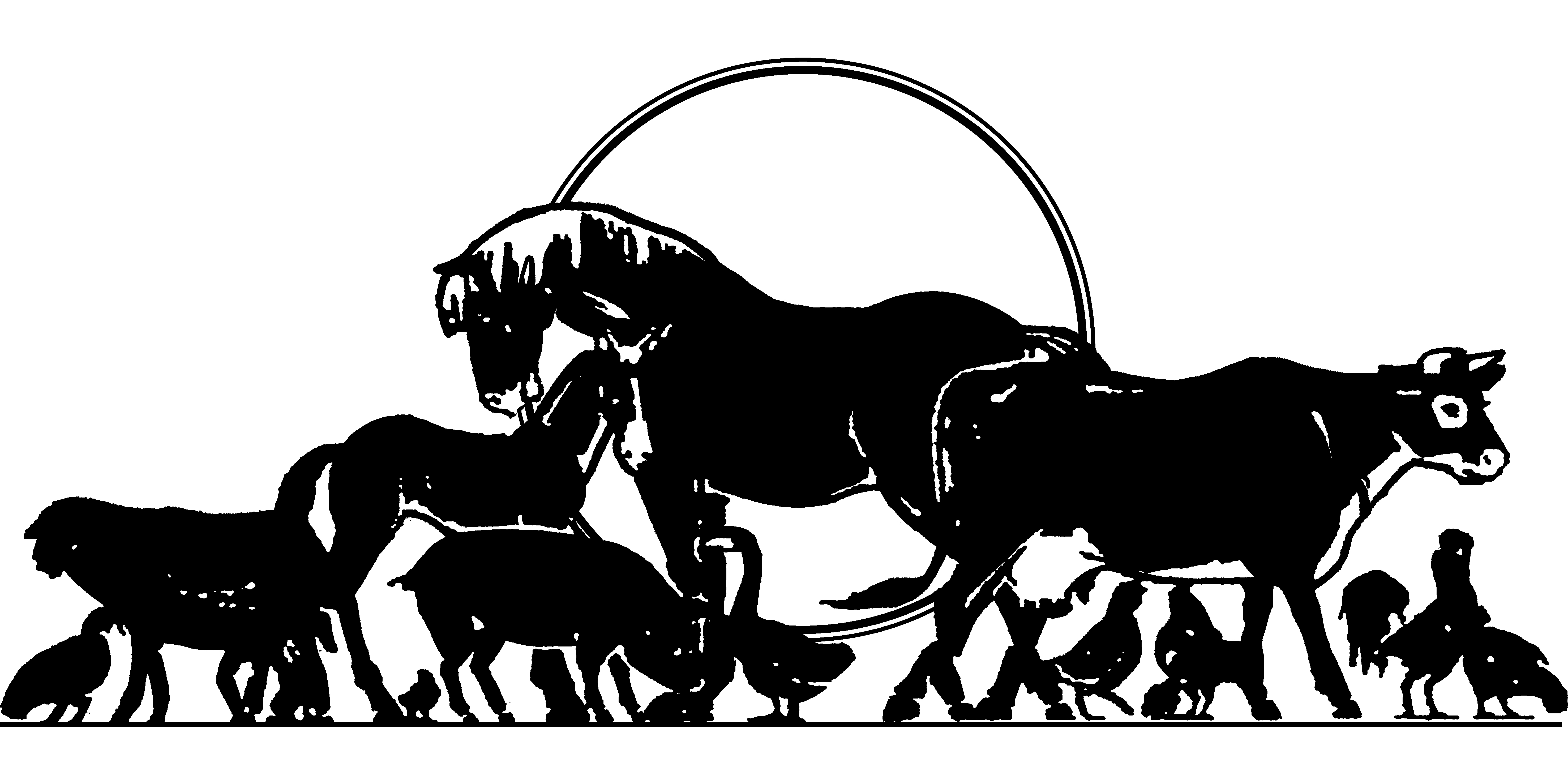 AVSPNI Autumn Conference 2026 logo