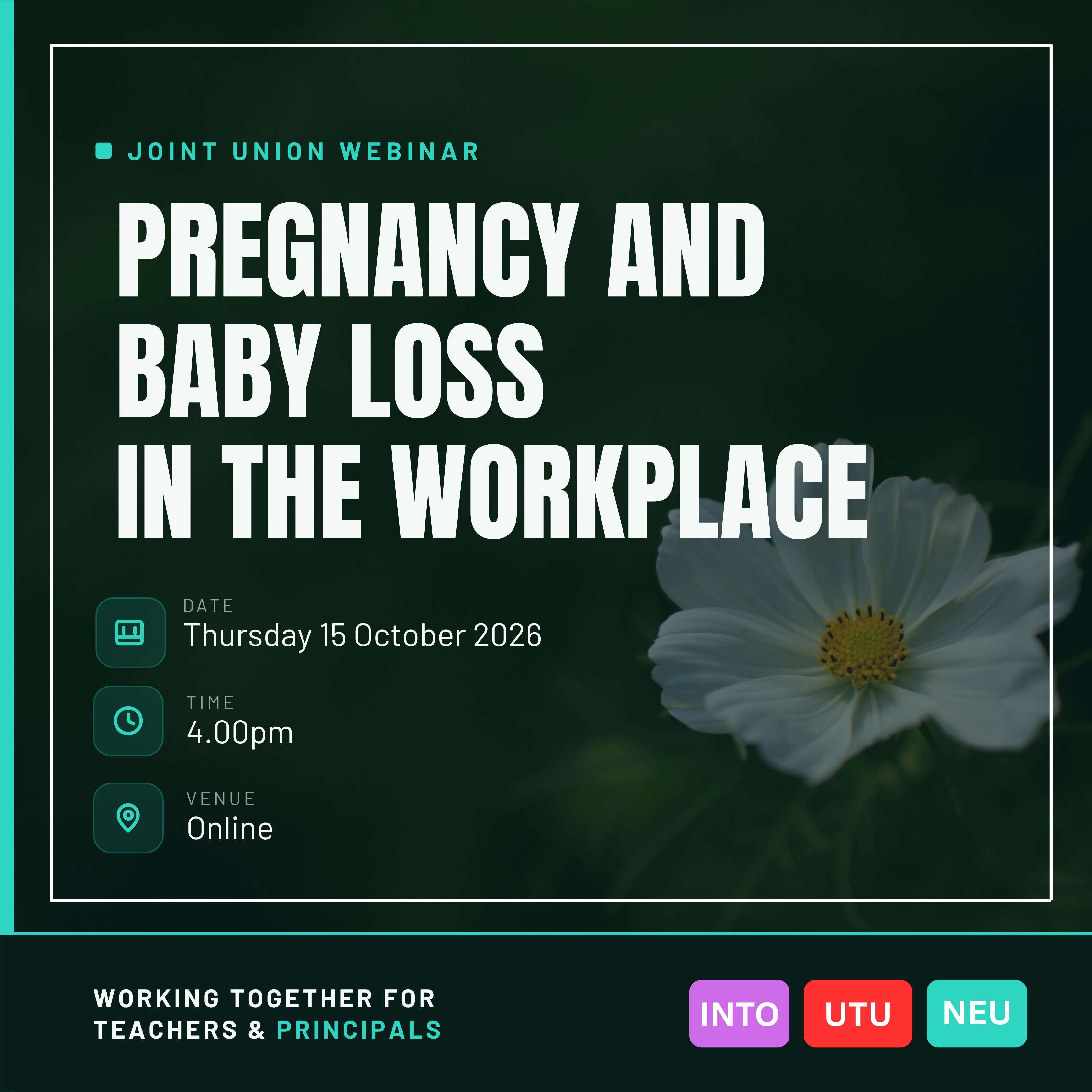 Pregnancy and baby loss in the workplace logo